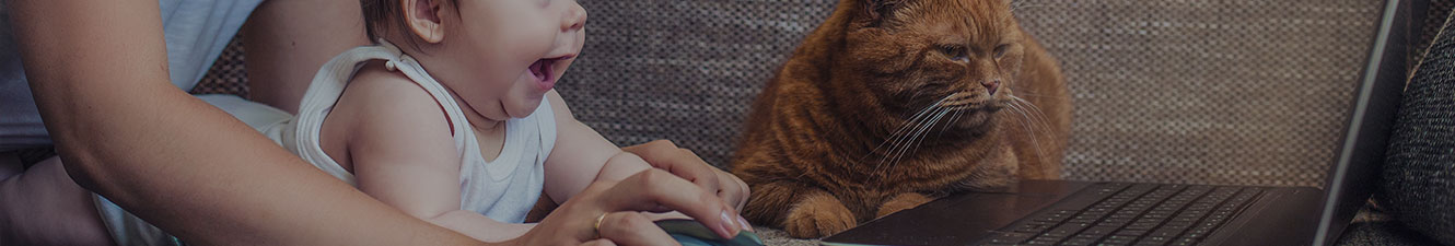 A woman with a baby and cat looking at a laptop