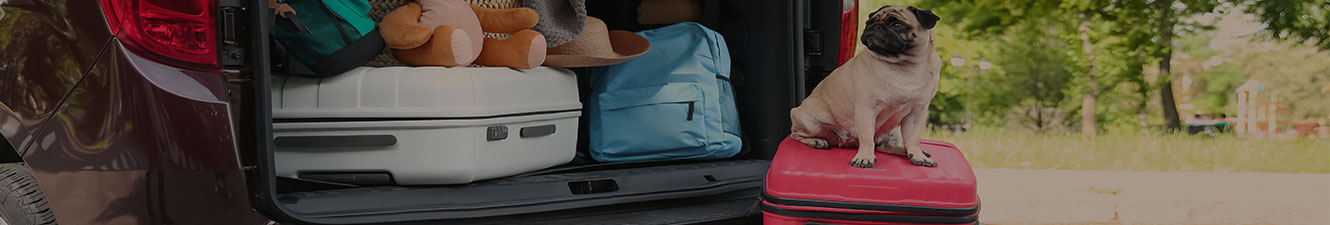 A dog sitting on top of a suitcase in front of a vehicle truck that is packed full of items